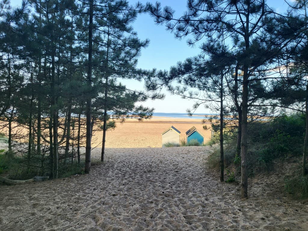 A sandy path through pine trees leading to the beach huts at Wells-next-the-Sea