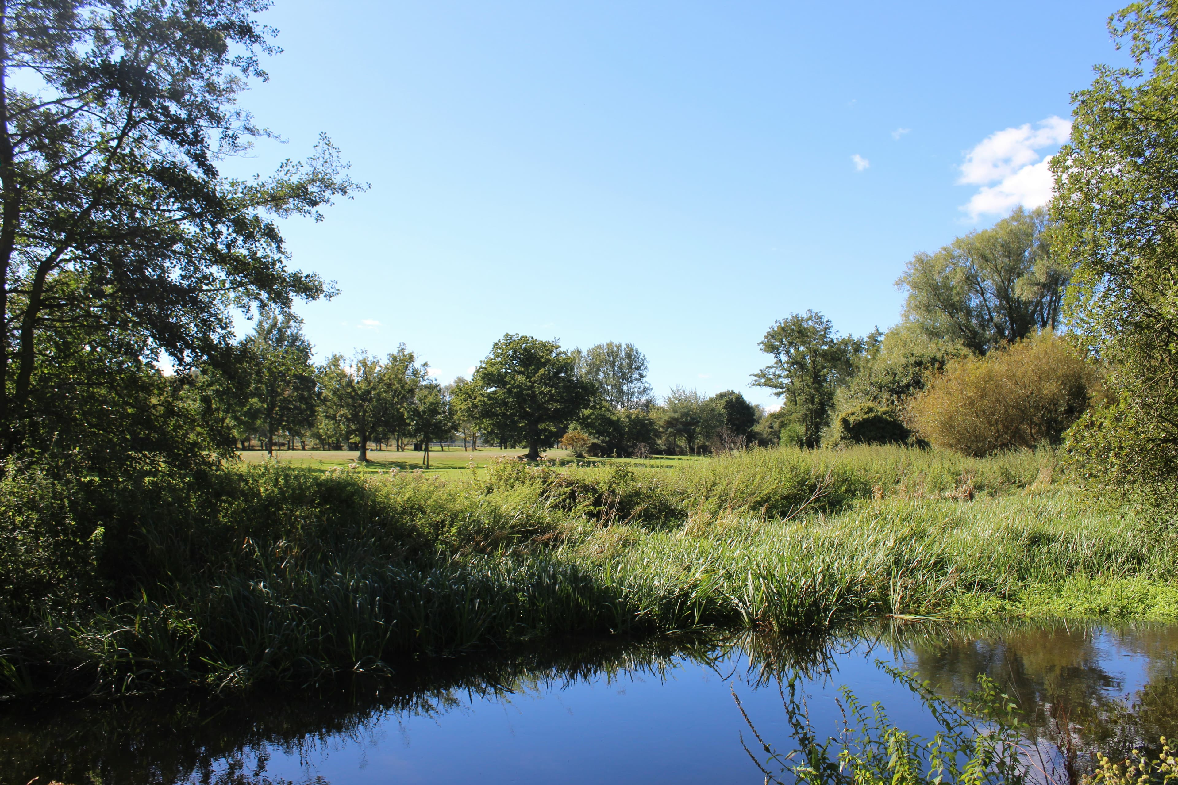 Countryside landscape near Fakenham, Norfolk